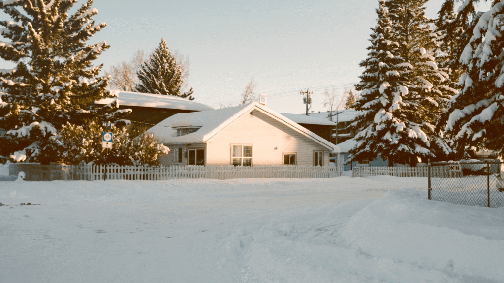 Holiday Lawn Safety Tips: Protecting Your Yard from Foot Traffic & Decorations in Buffalo