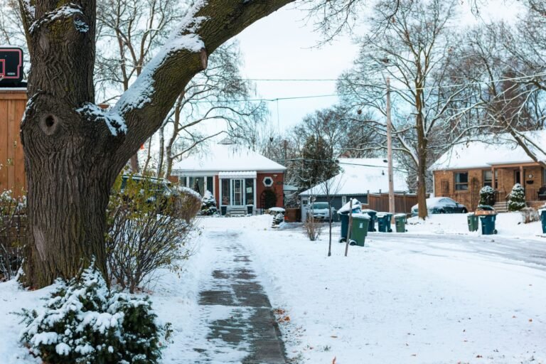 Winter Parking Bans and Sidewalk Rules Across Erie County